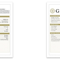 3.20 ctw E VVS2 GIA Certified Round Brilliant Natural Diamond Earring | 18K White Gold | Classic Collection | Solitaire Earring