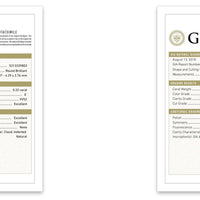 3.20 ctw E VVS2 GIA Certified Round Brilliant Natural Diamond Earring | 18K White Gold | Classic Collection | Solitaire Earring