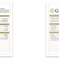 3.20 ctw E VVS2 GIA Certified Round Brilliant Natural Diamond Earring | 18K White Gold | Classic Collection | Solitaire Earring