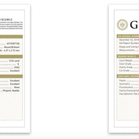 3.20 ctw E VVS2 GIA Certified Round Brilliant Natural Diamond Earring | 18K White Gold | Classic Collection | Solitaire Earring