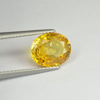 2.68 cts Natural Yellow Sapphire Loose Gemstone Oval Cut