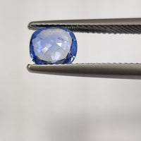 1.47 cts Unheated Natural Blue Sapphire Loose Gemstone Cushion Cut - Thai Gems Export Ltd.