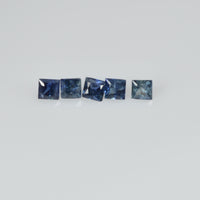 1.4-2.8 MM Natural Princess Cut Blue Sapphire Loose Gemstone - Thai Gems Export Ltd.