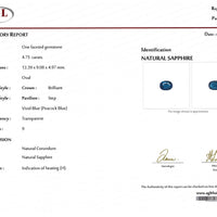 Certification — Ruby & Sapphire Lab Reports