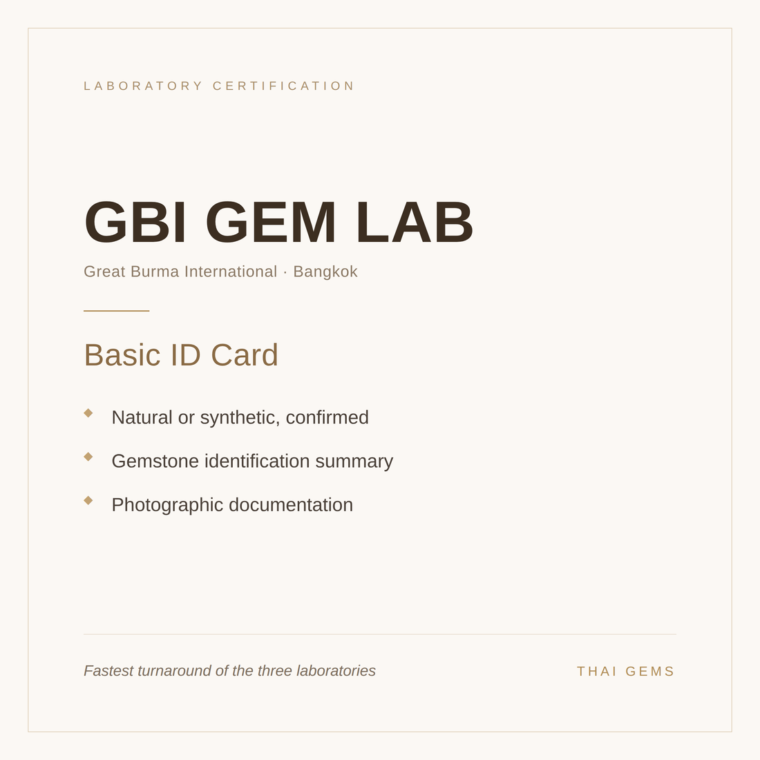 GBI Gem Lab Basic ID Card — what is included