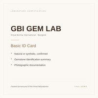 GBI Gem Lab Basic ID Card — what is included