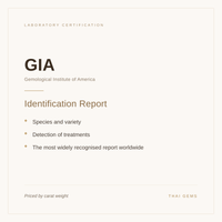 GIA identification report — what is included