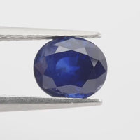 1.63 cts  Natural Blue Sapphire Loose Gemstone Oval Cut