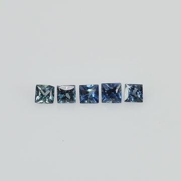 1.3 - 2.4 MM Natural Princess Cut Blue Sapphire