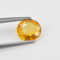 1.53 cts Natural Yellow Sapphire Loose Gemstone Oval Cut
